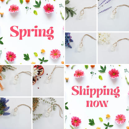 SPRING CAR DIFFUSERS